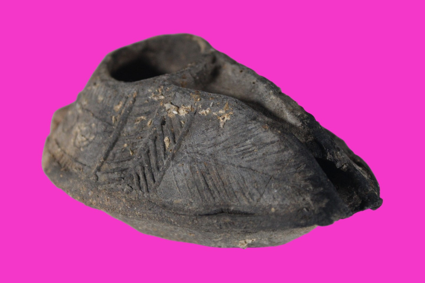 Ancient Holy Land Oil Lamp Artifact Jesus Christ Home 300-600 AD Israel COA 95