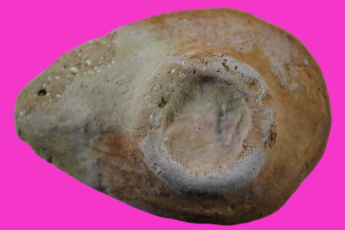 Ancient Holy Land Oil Lamp Artifact Jesus Christ Homeland 100 - 400 AD COA L01