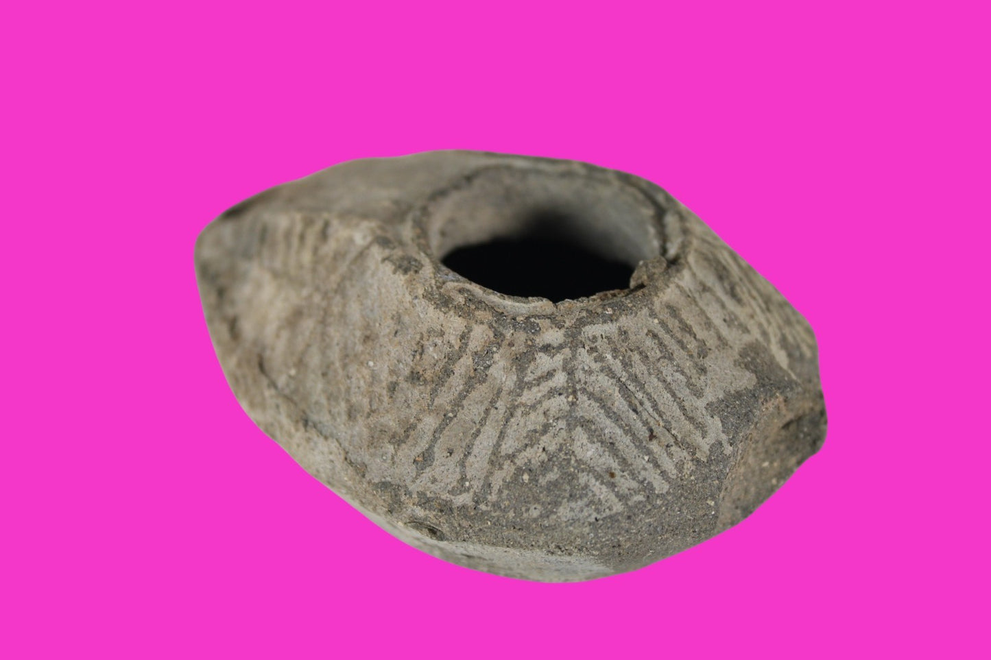 Ancient Holy Land Oil Lamp Artifact Jesus Christ Home Israel 300-600 AD COA 106