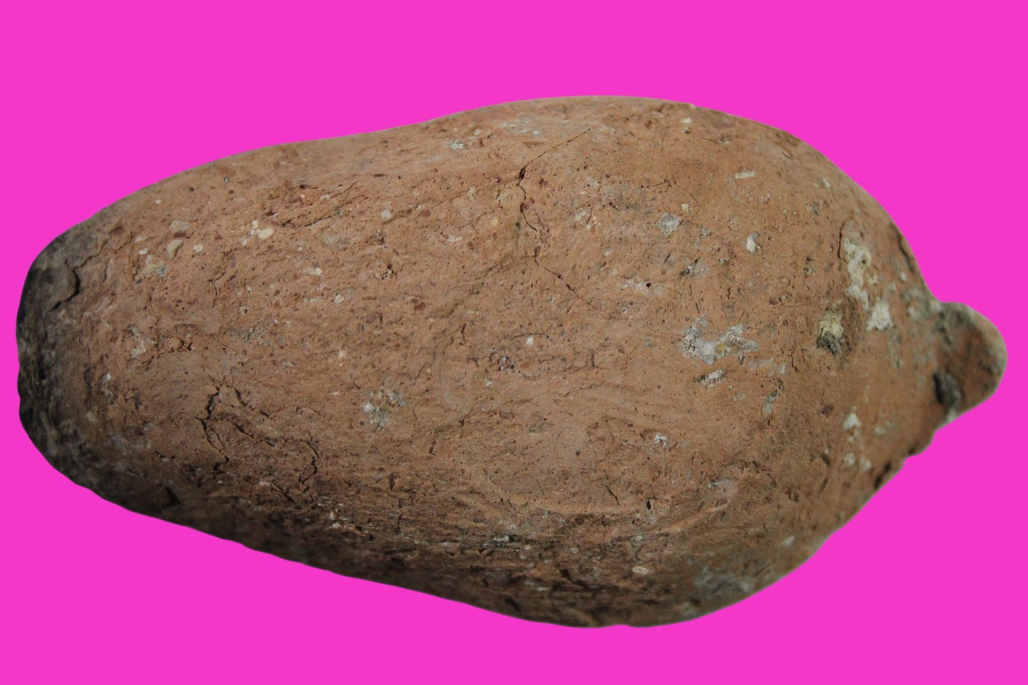 Ancient Holy Land Oil Lamp Artifact Jesus Christ Home Israel 300-600 AD COA 74