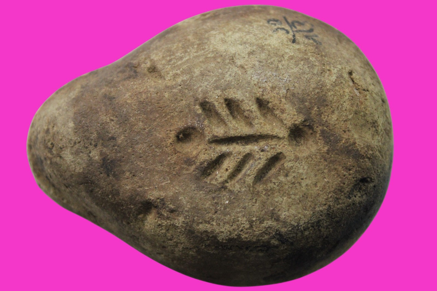 Ancient Holy Land Oil Lamp Artifact From Jesus Christ Home Land 100-500AD COA 62