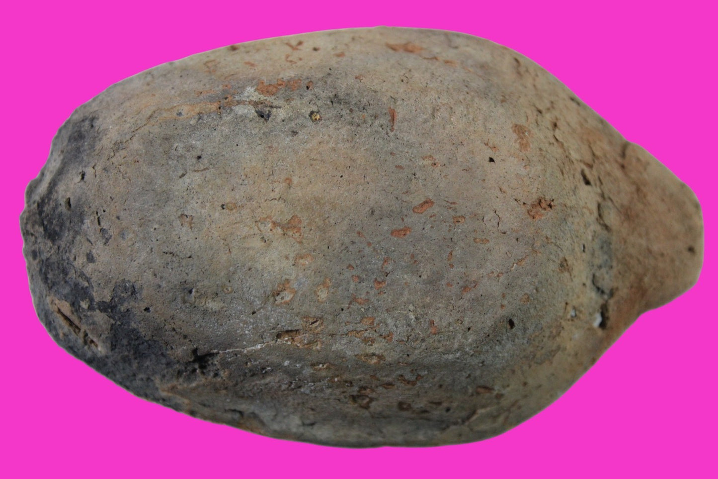 Ancient Holy Land Oil Lamp Artifact Jesus Christ Home Israel 300-600 AD COA 70