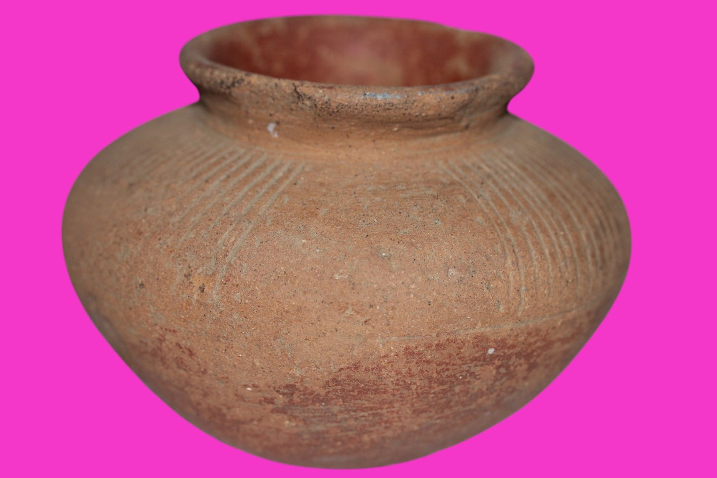 Pre Columbian Artifact Authentic Small Olla Colima Mexico 200 BC-200 AD COA J101