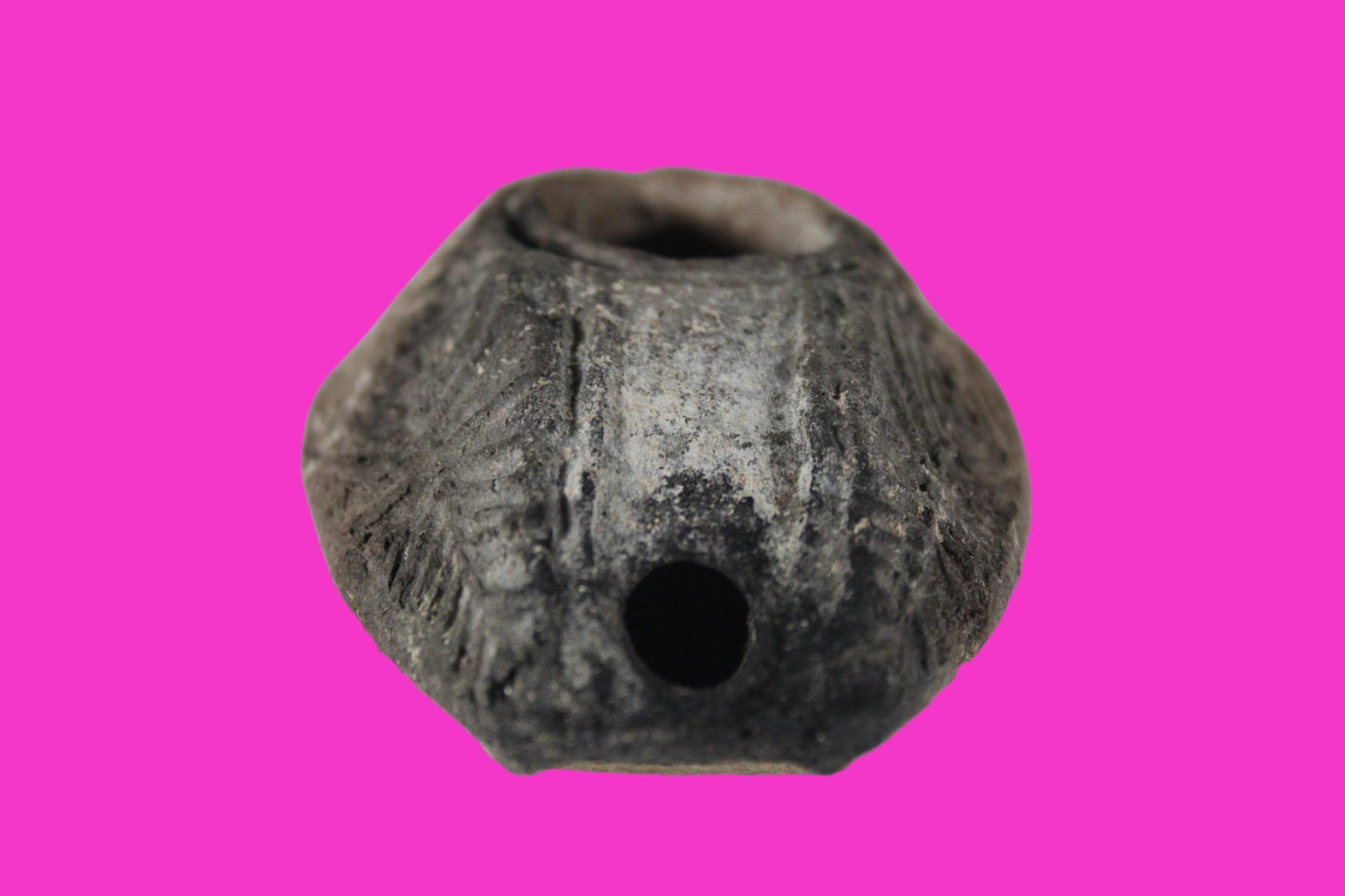 Ancient Holy Land Oil Lamp Artifact 2 Hidden Christian Crosses 300-600 AD COA 87