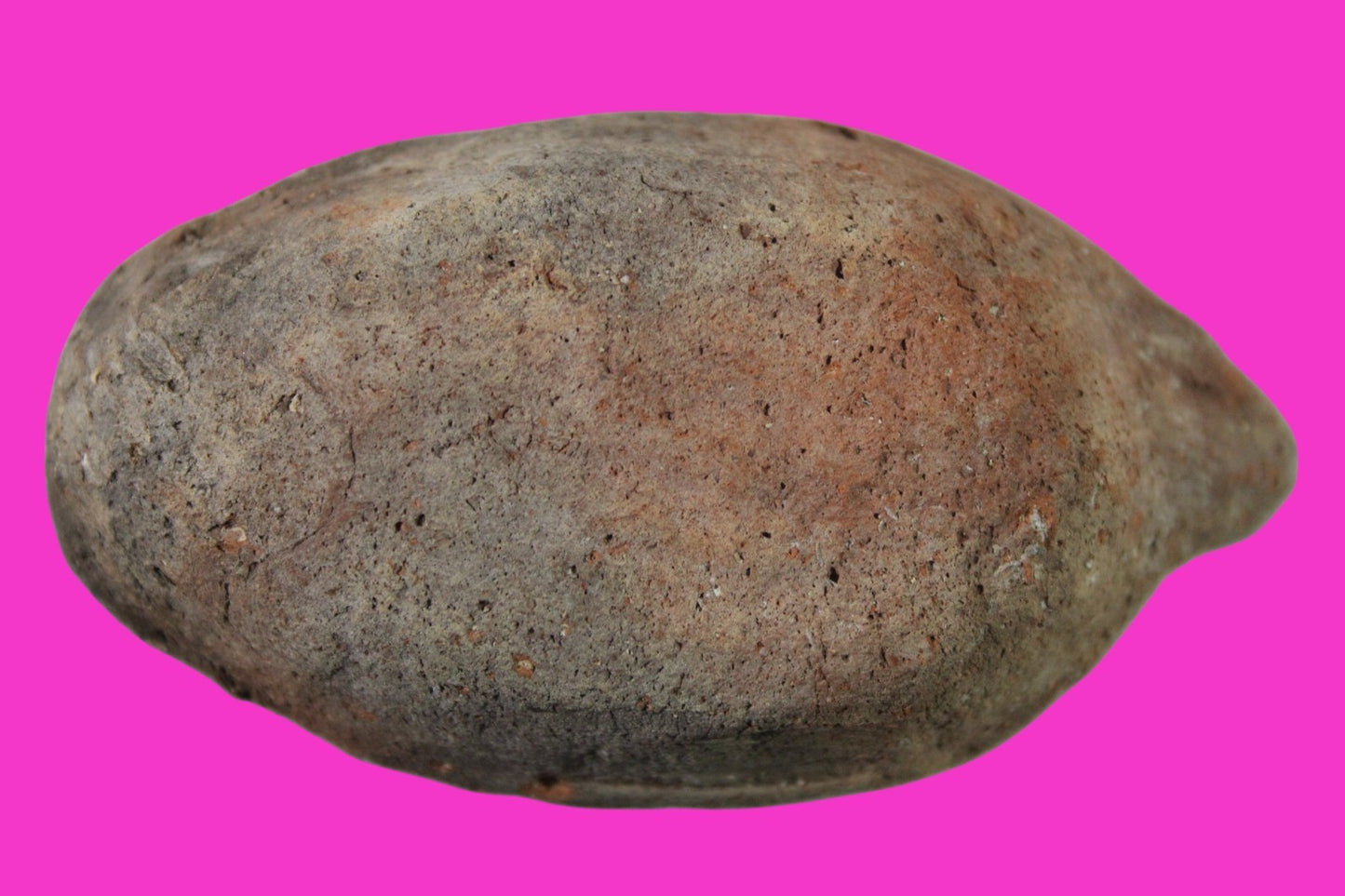 Ancient Holy Land Oil Lamp Artifact Jesus Christ Home Israel 300-600 AD COA 69