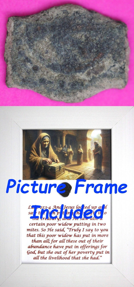 Widows Mite Coin Holy Land Artifact Jesus Christ Lifetime Display Frame COA 320