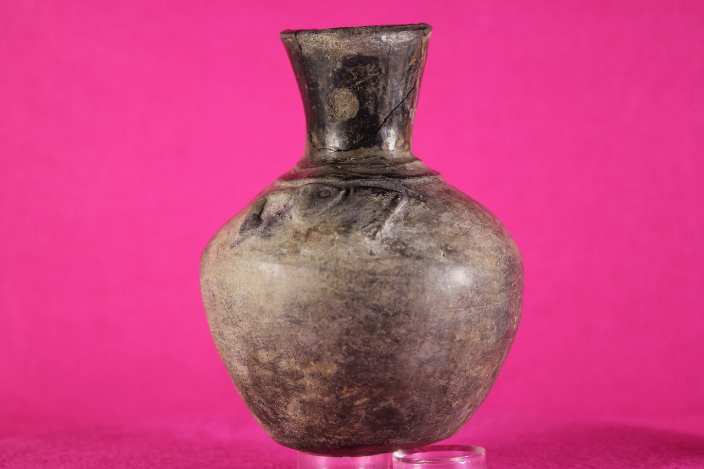 Pre Columbian Artifact Authentic Moche Frog Pottery Jar 100-800 AD Peru COA J60