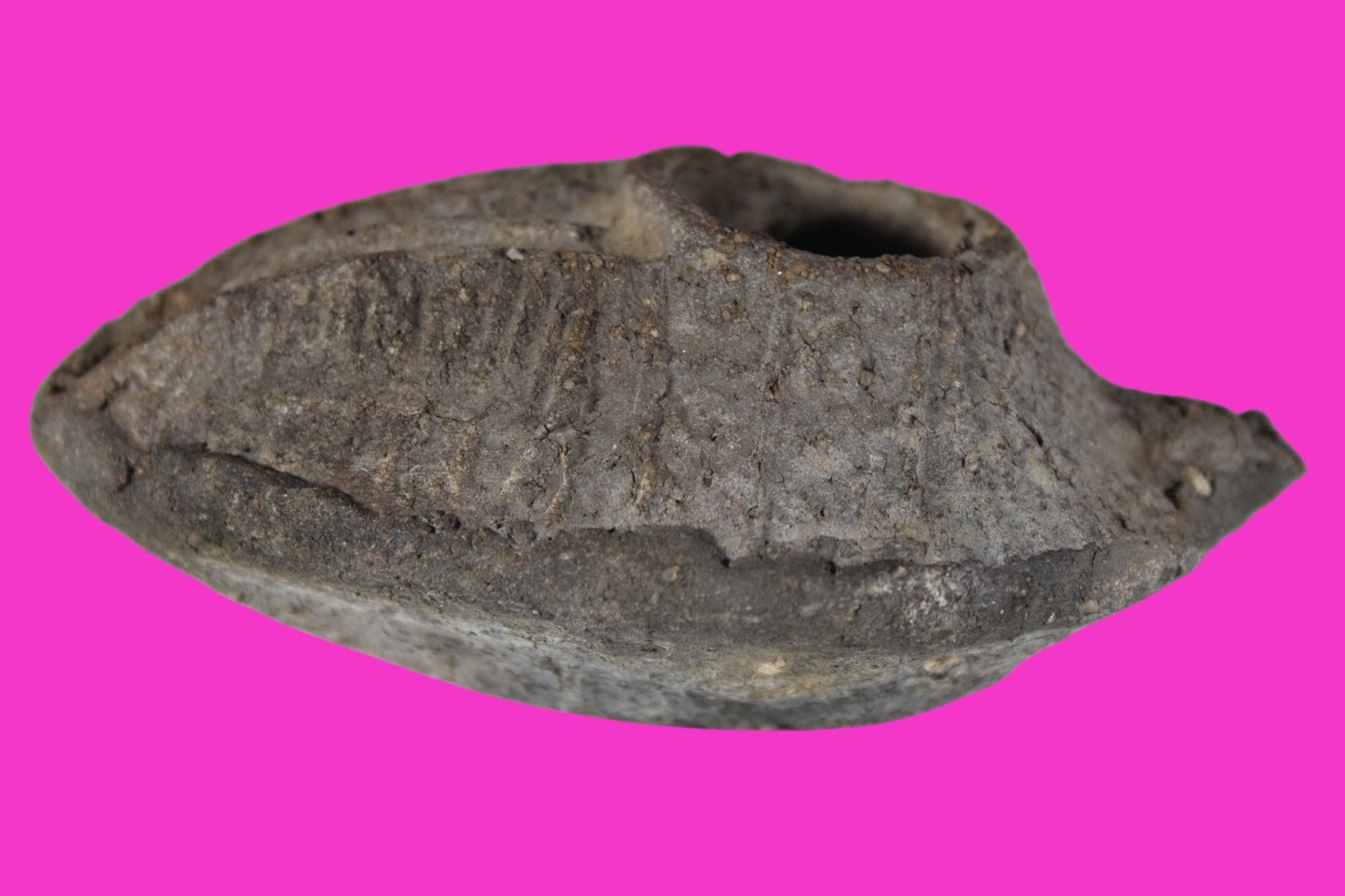 Ancient Holy Land Oil Lamp Artifact Jesus Christ Home Israel 300-600 AD COA 90