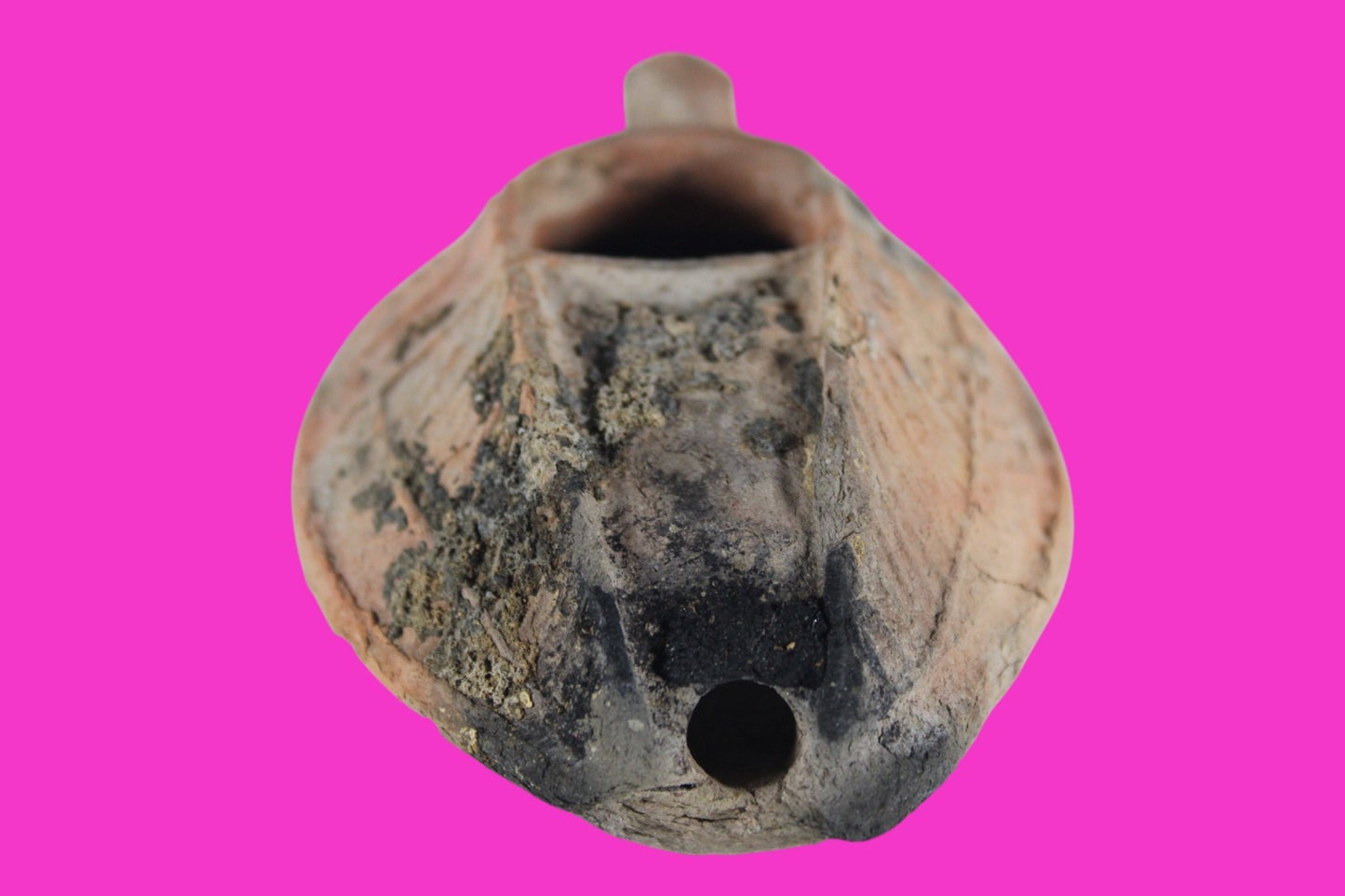 Ancient Holy Land Oil Lamp Artifact Jesus Christ Home 300-600 AD Israel COA 110