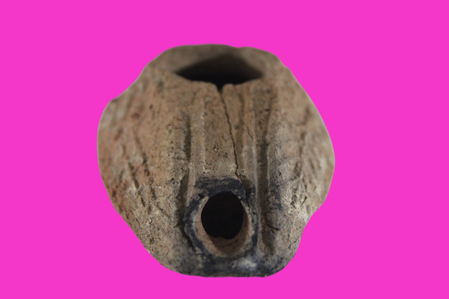 Ancient Holy Land Oil Lamp Artifact Jesus Christ Home Israel 300-600 AD COA 78