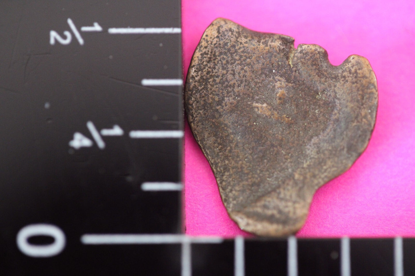 Authentic Jesus Christ Era Holy Land Widow's Mite Artifact 50 BC - 50 AD COA 019