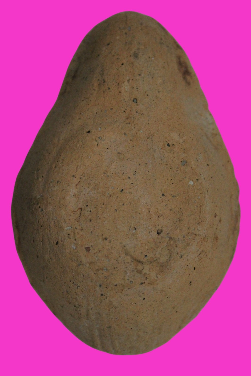 Ancient Holy Land Oil Lamp Artifact  From Jesus Christ Homeland 400-600AD COA 42