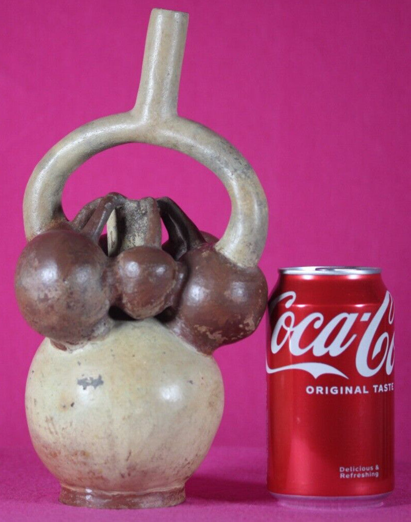 Pre Columbian Authentic Artifact Fruit Vessel Moche Ex Arte Primitivo COA T52