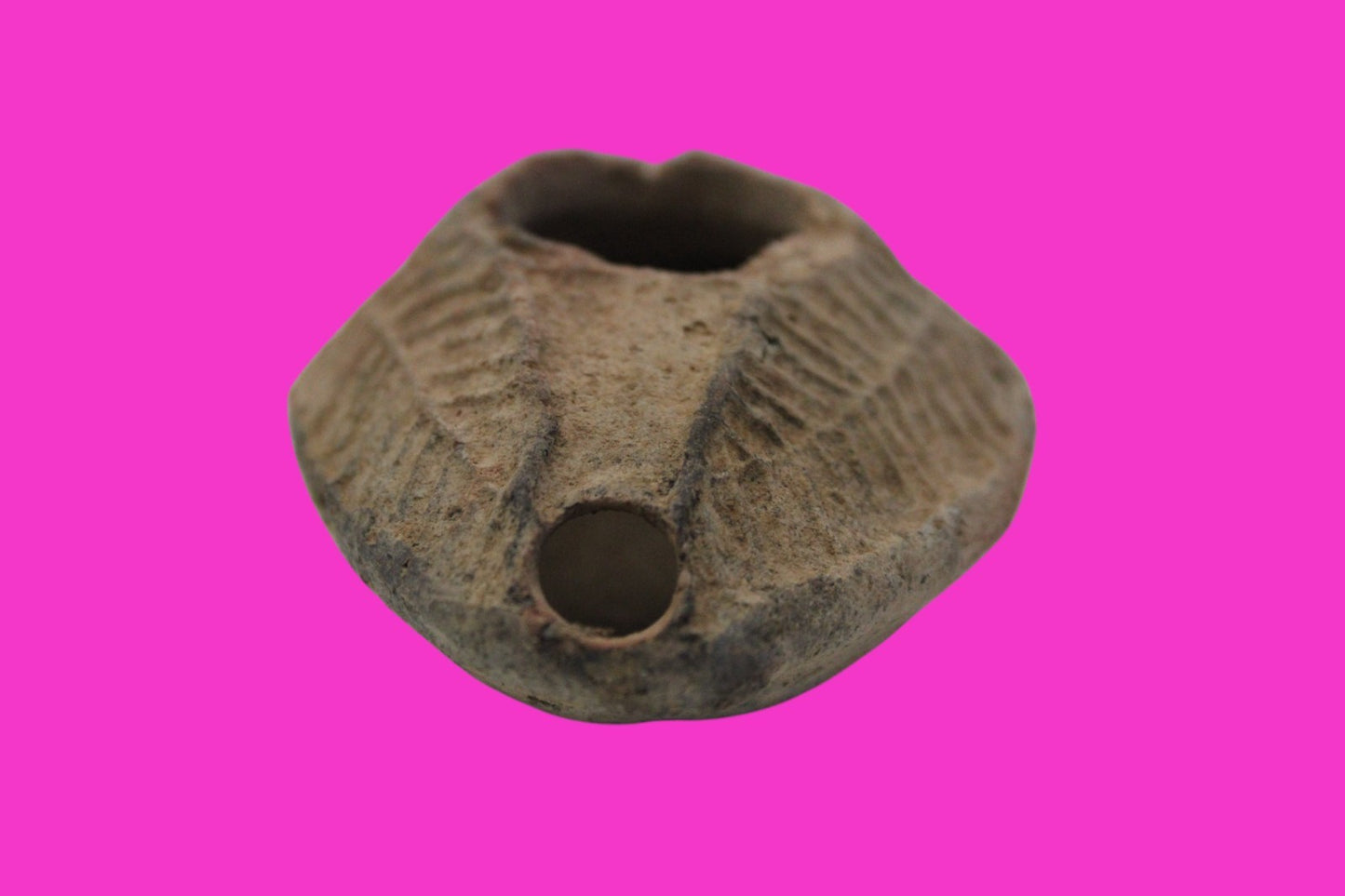 Ancient Holy Land Oil Lamp Artifact From Jesus Christ Home Land 100-500AD COA 54