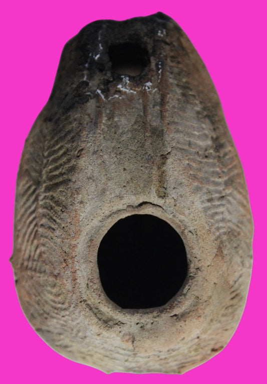 Ancient Holy Land Oil Lamp Artifact Jesus Christ Home 300-600 AD Israel COA 96
