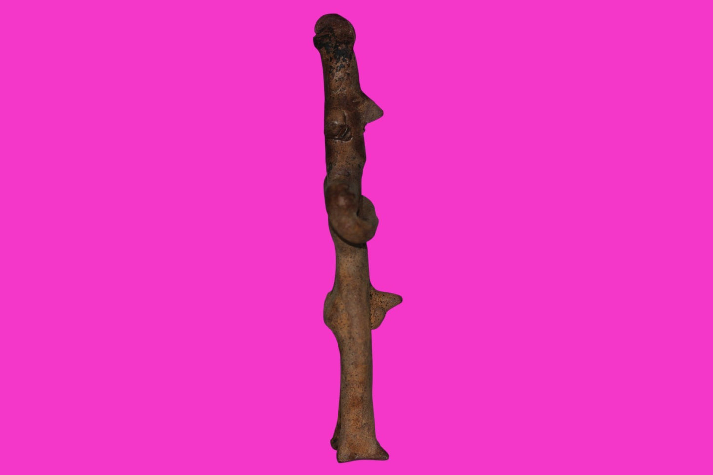 Pre Columbian Authentic Artifact Male Shaman Tomb Figure Colima Mexico COA 18